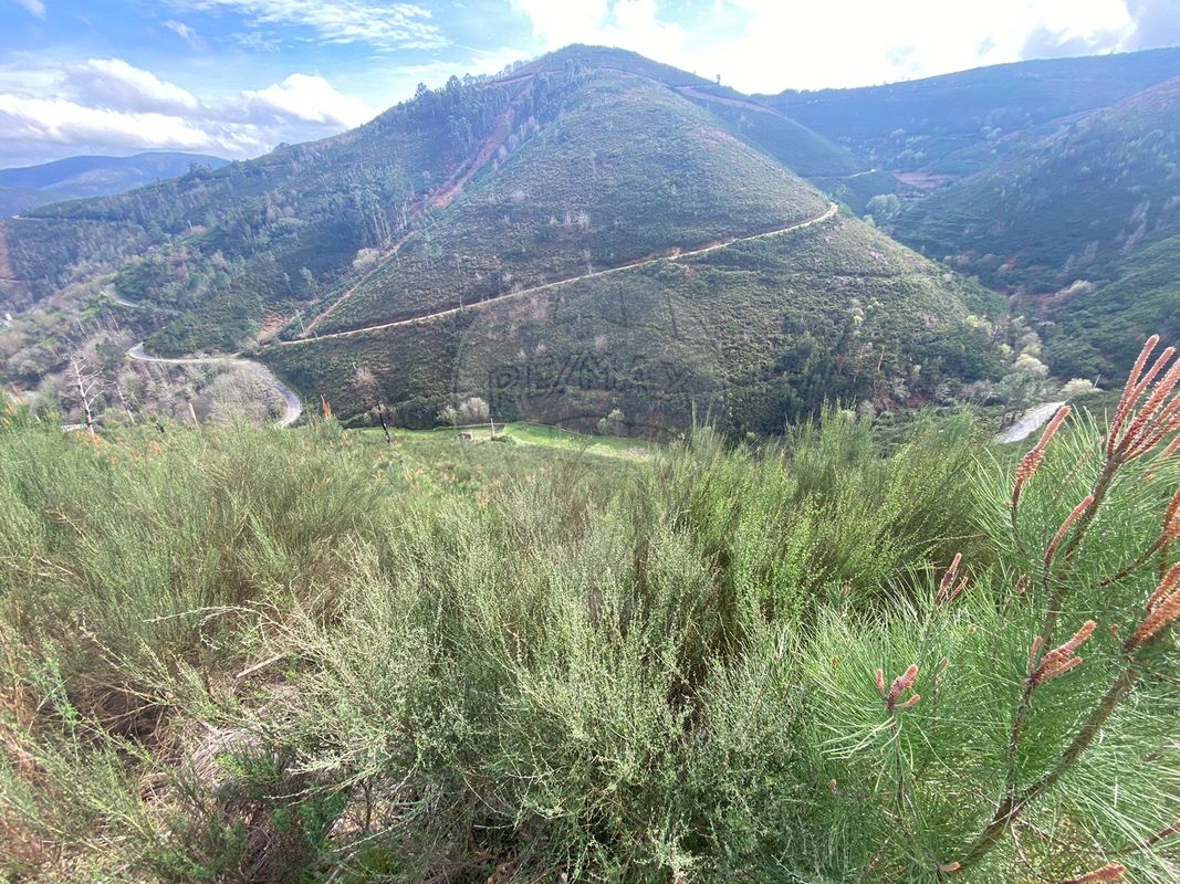 TODO