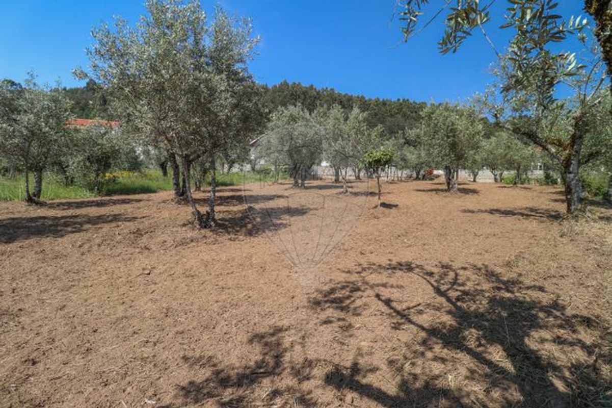 Terreno para venda