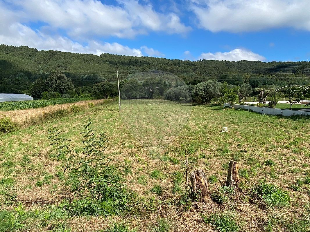 Terreno  à venda em Góis