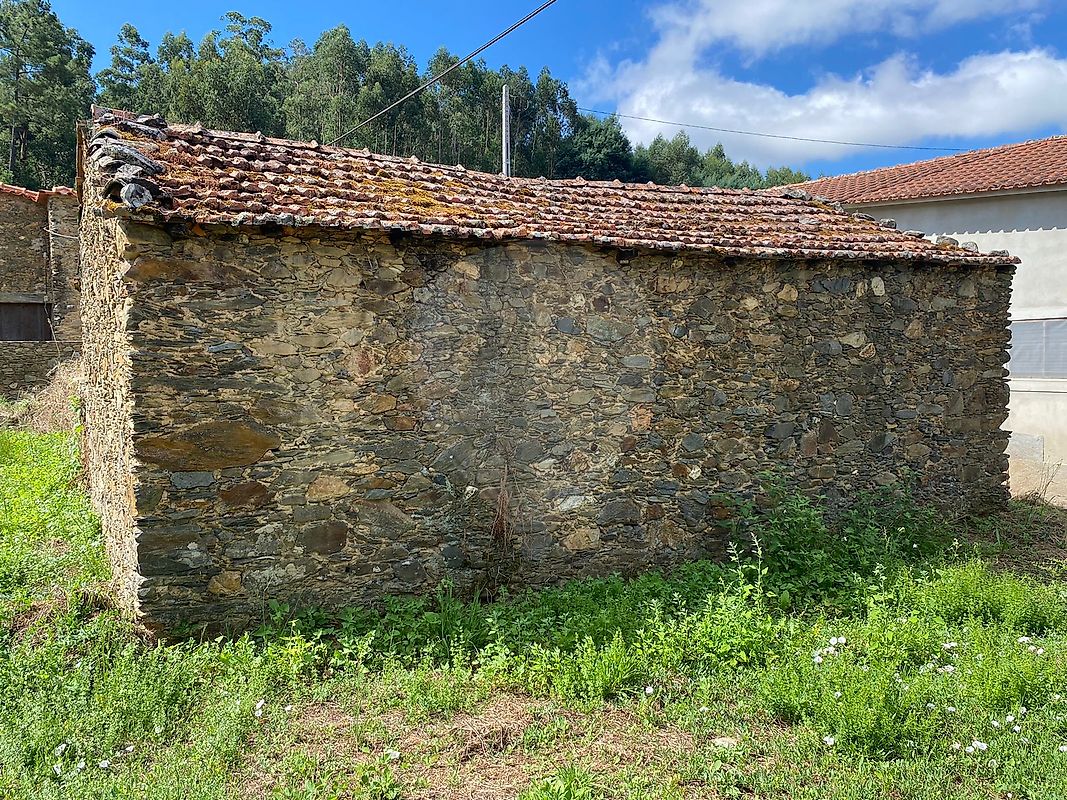 Terreno  à venda em Góis