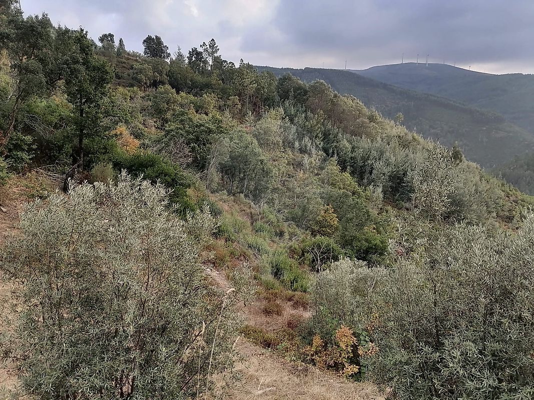 Terreno para venda