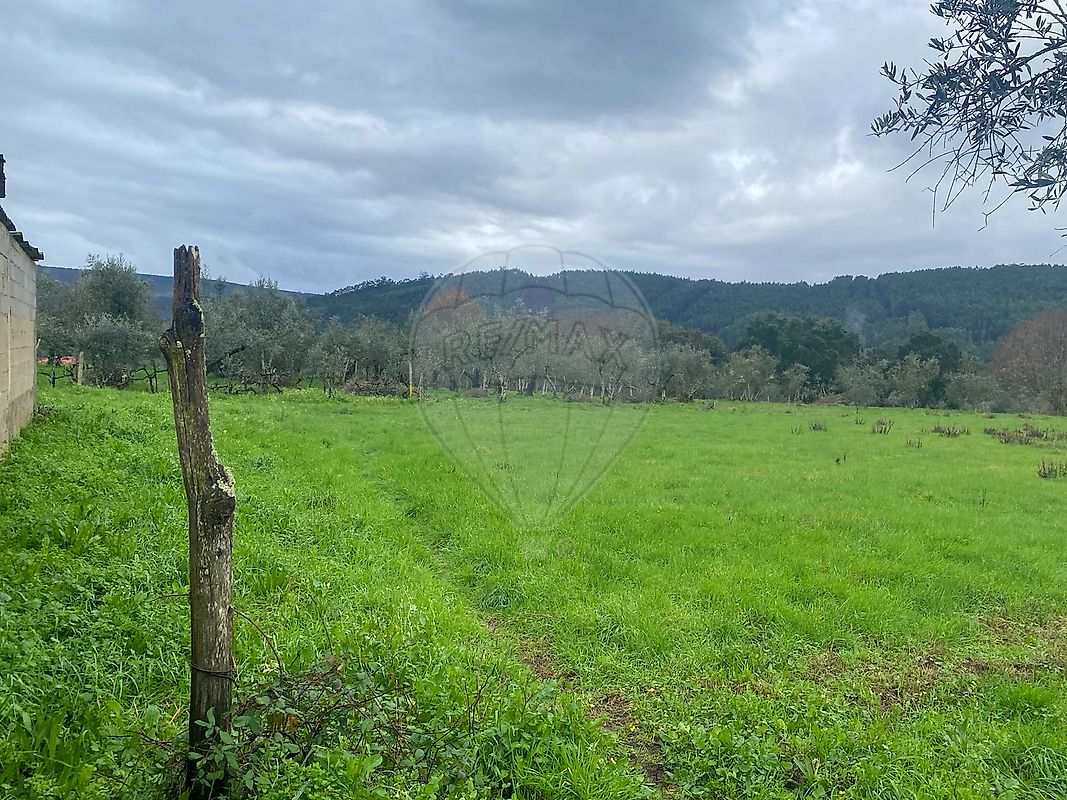 Terreno - Góis, Góis, Coimbra