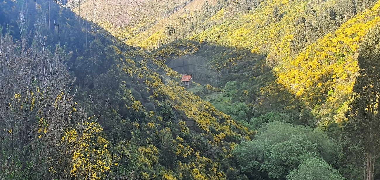 Terreno para venda