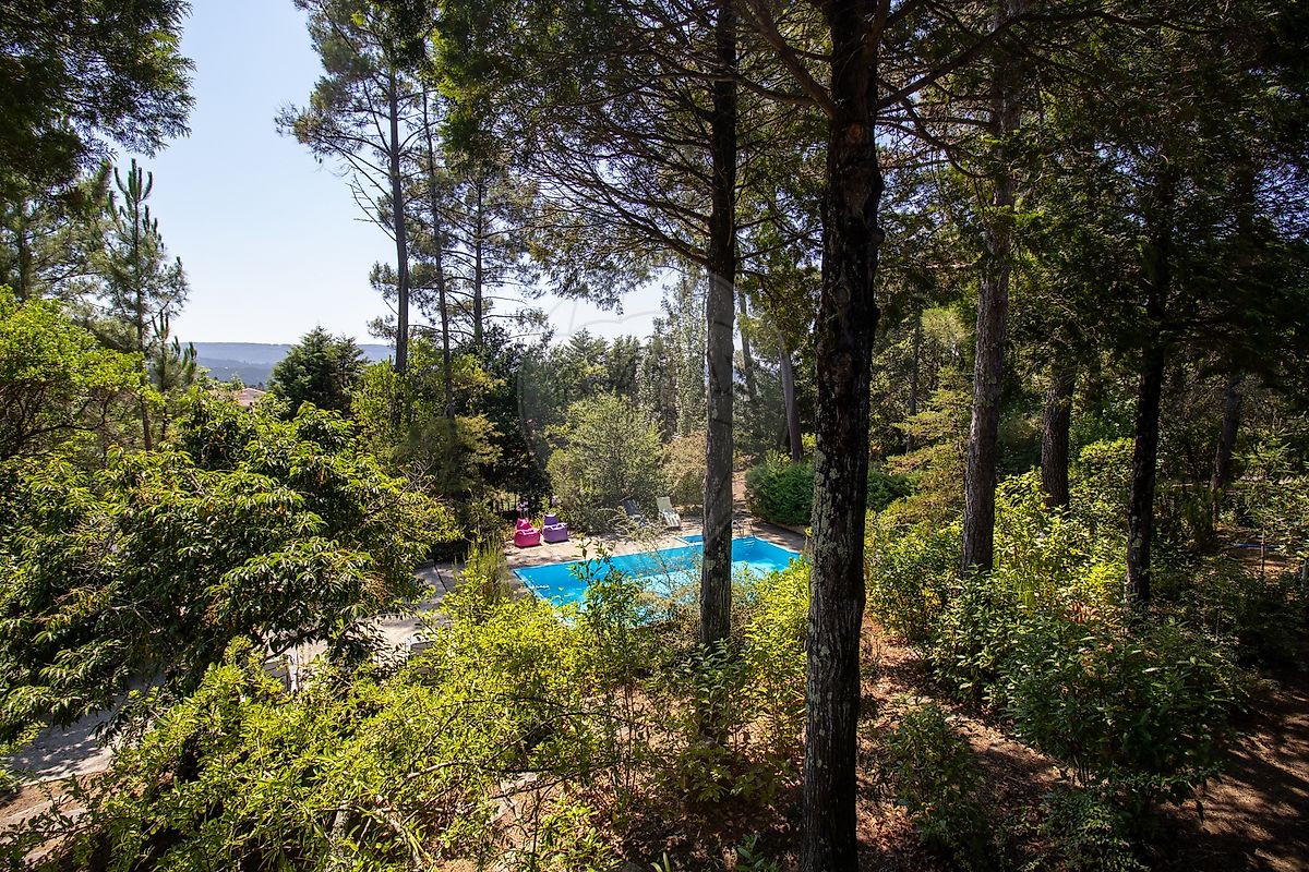 listing 123111111-40 picture-0
