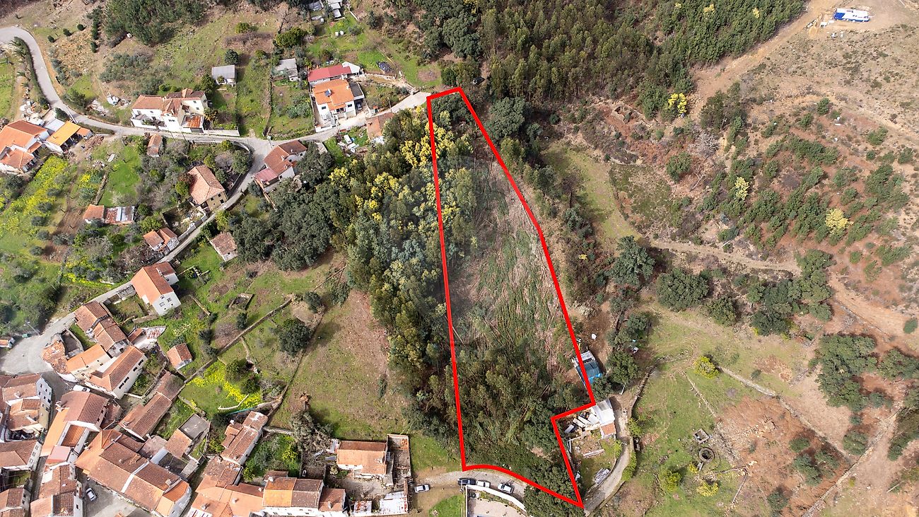 Terreno - Castanheira de Pêra e Coentral, Castanheira de Pêra, Leiria