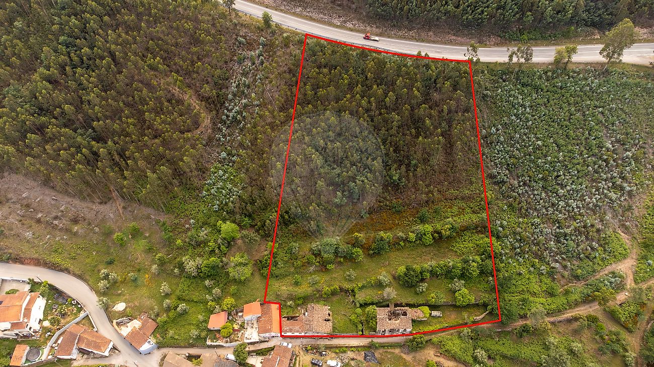 Moradia - Lavegadas, Vila Nova de Poiares, Coimbra