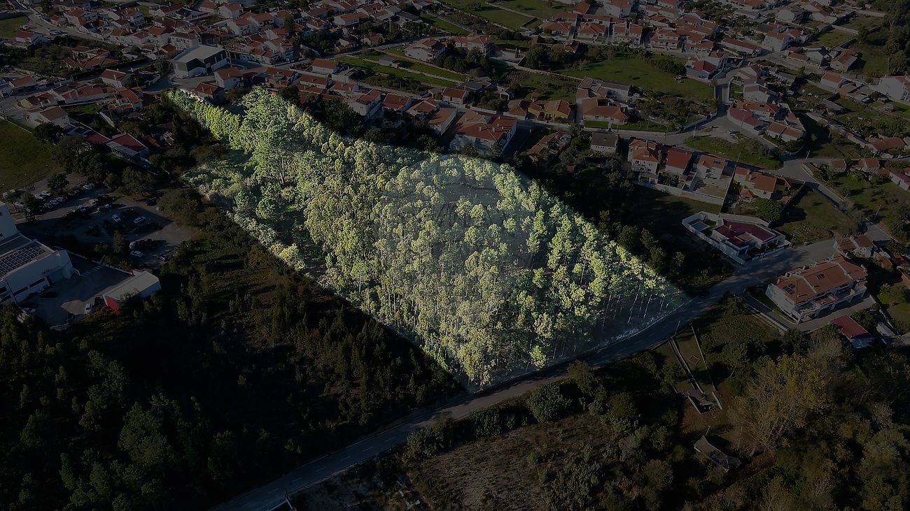 Land for sale in Marinha Grande, Portugal — €210,000