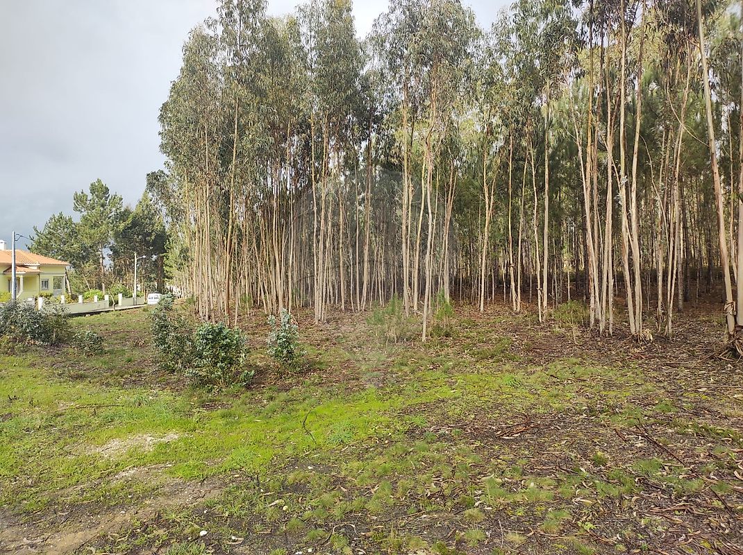 Terreno à venda em Leiria