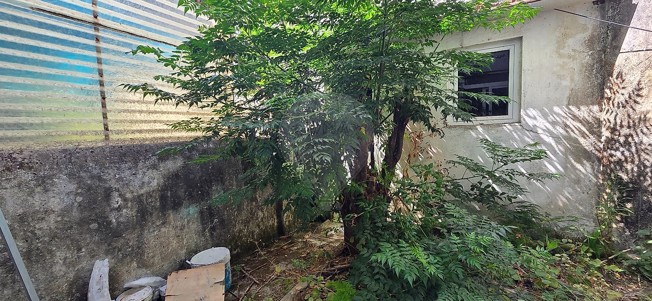Apartamento - Águas Livres, Amadora, Lisboa
