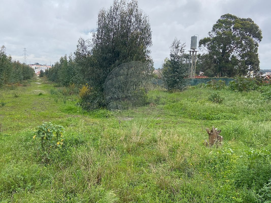 Terreno à venda em Vale de Milhaços