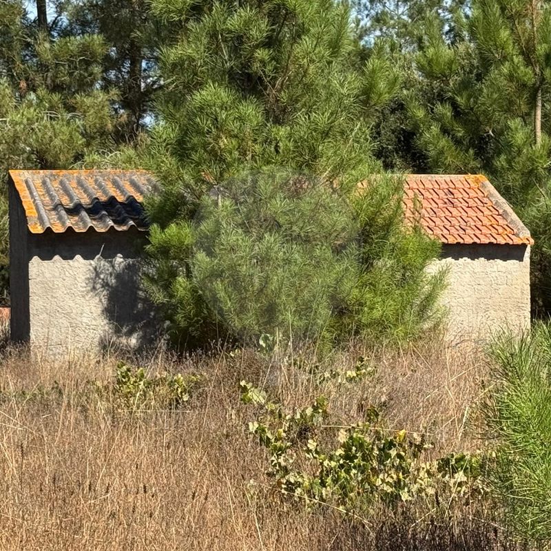 Terreno  para venda