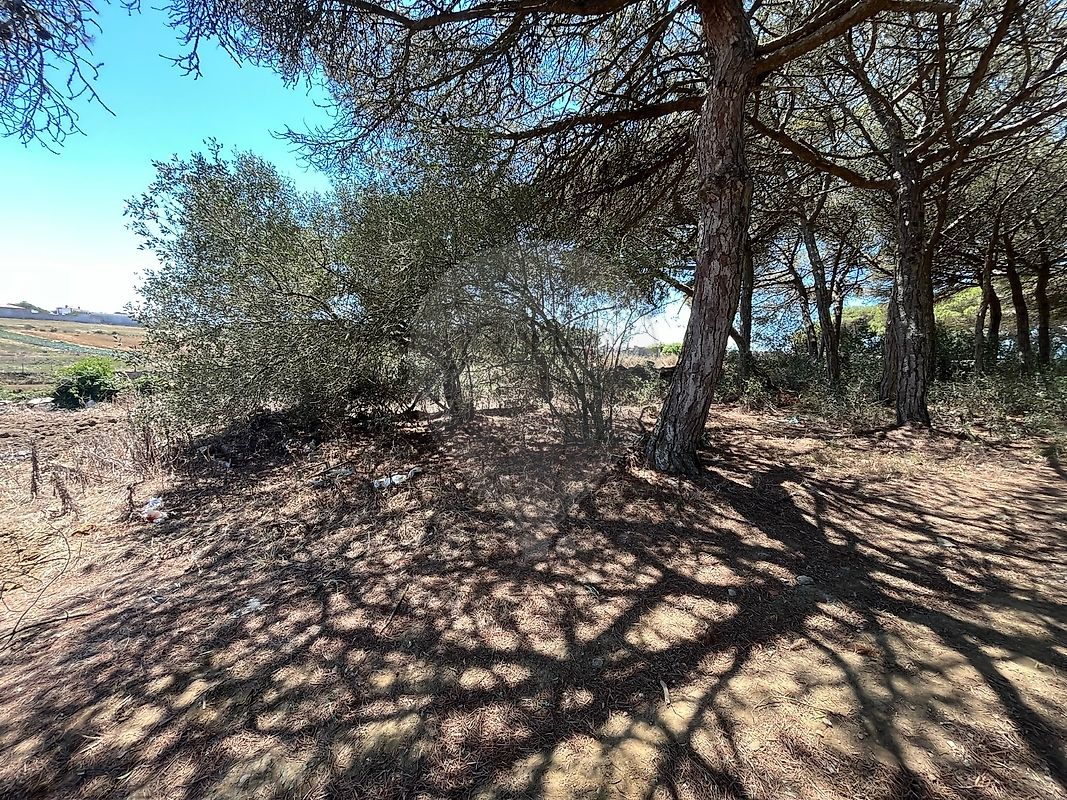 listing-picture-0