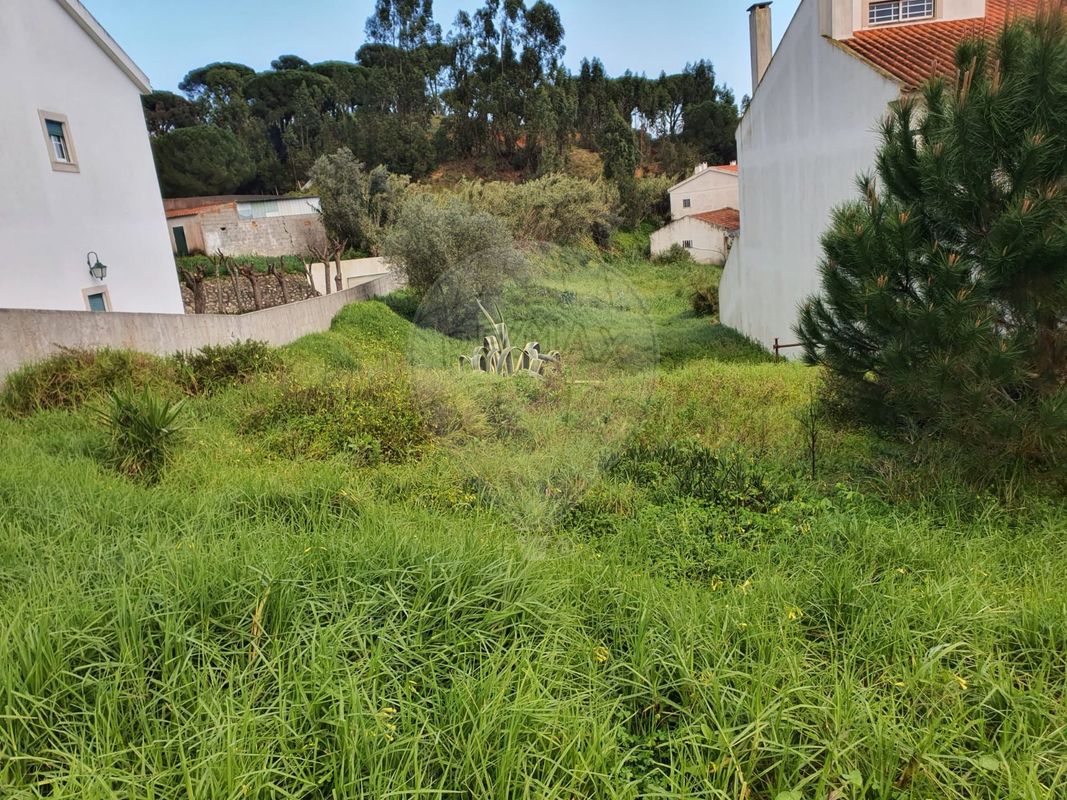 listing-picture-0