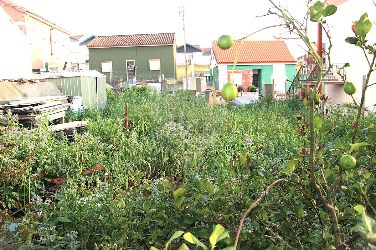 Land for sale in Vila Franca de Xira, Portugal — €80,000
