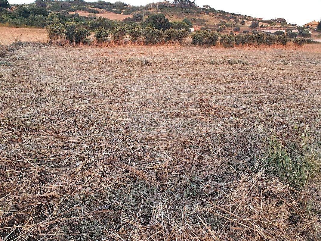 Terreno  para venda