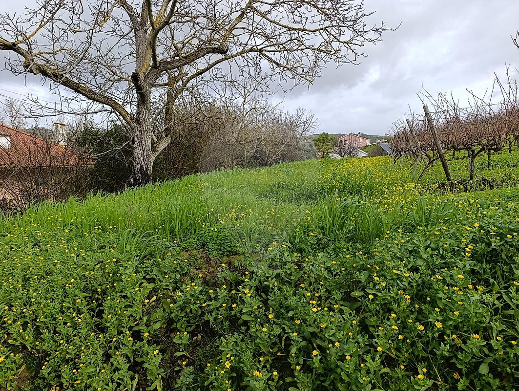 Terreno à venda em Vila Franca de Xira