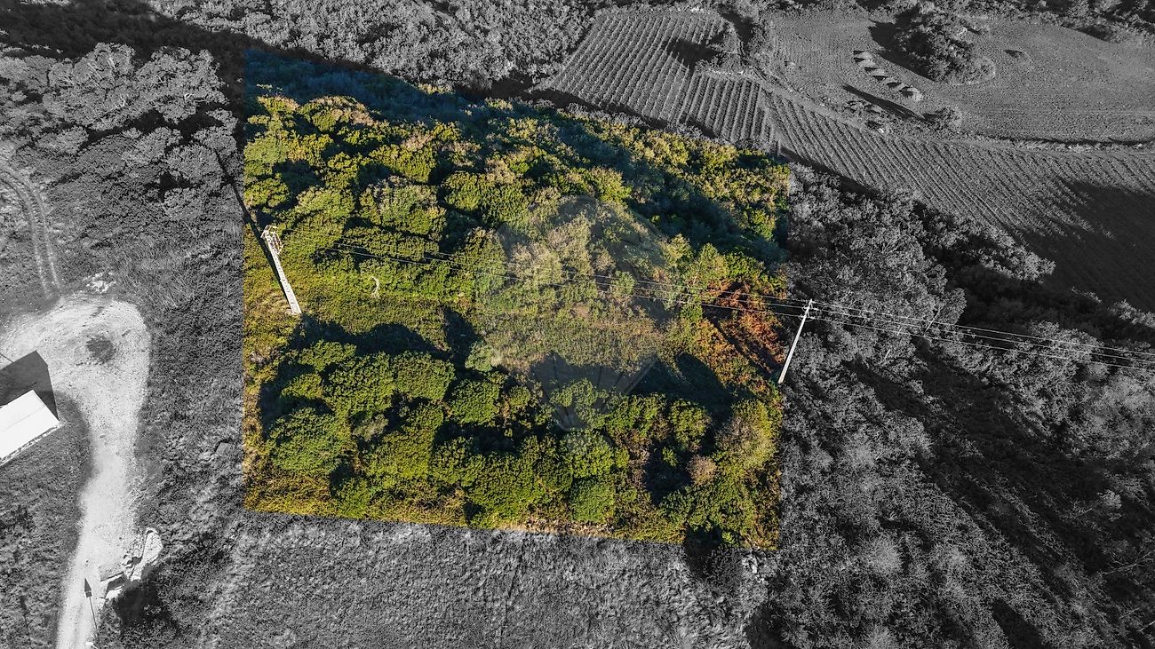 Terreno à venda em Arruda dos Vinhos