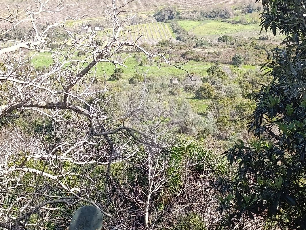 Terreno à venda em Arruda dos Vinhos