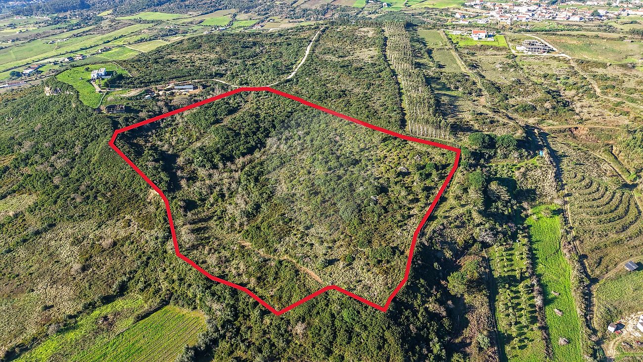 Terreno à venda em Alenquer