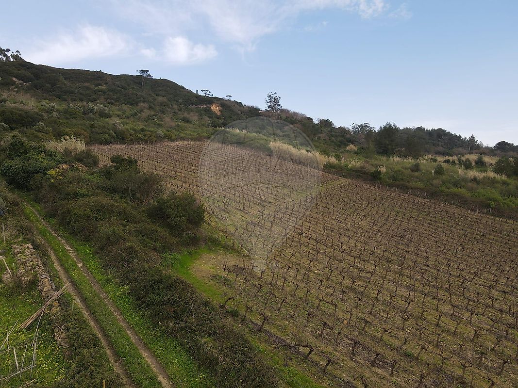 Terreno à venda em Sobral de Monte Agraço