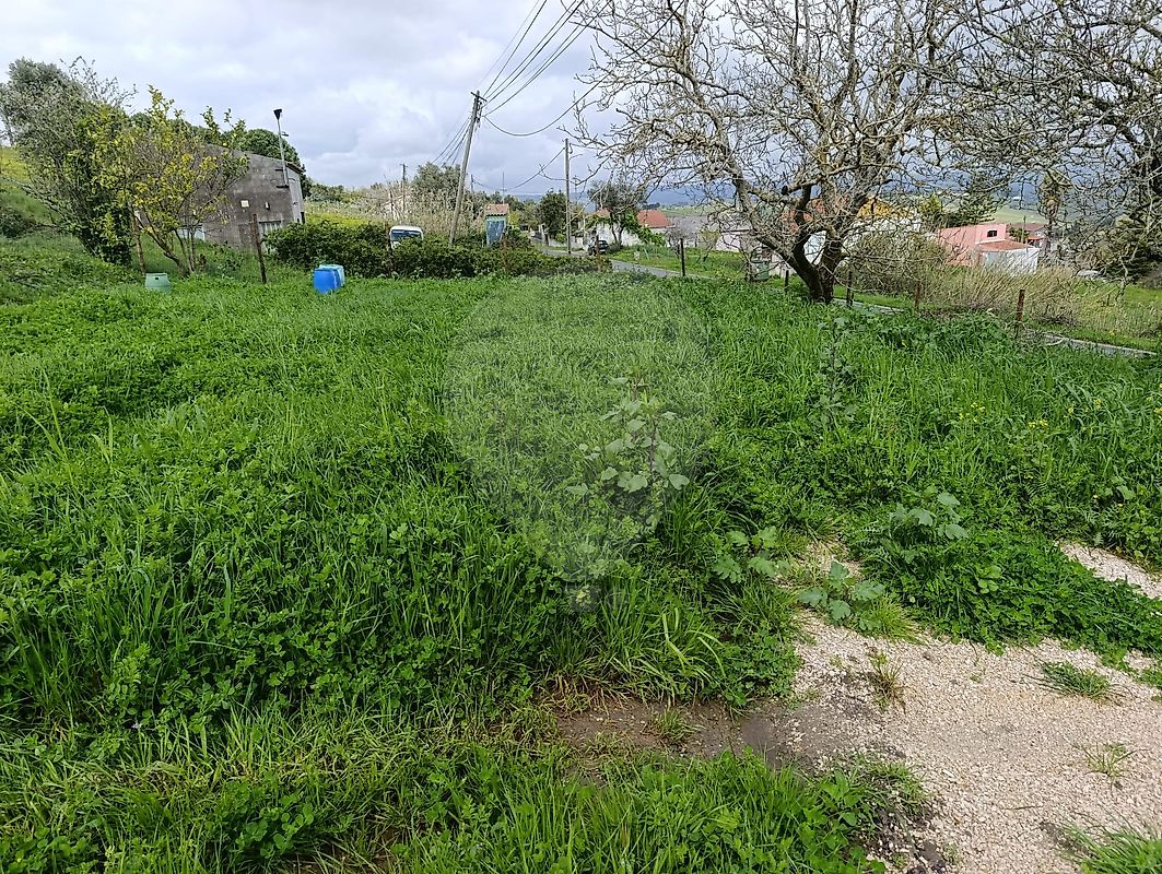Terreno à venda em Torres Vedras