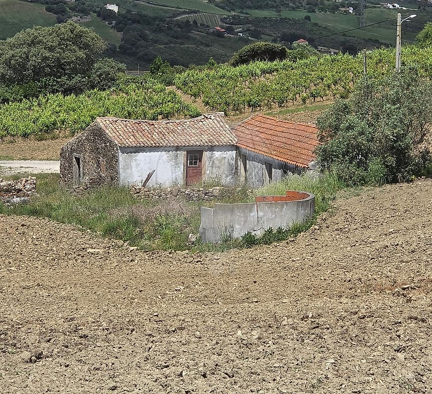 Moradia - Arruda dos Vinhos, Arruda dos Vinhos, Lisboa