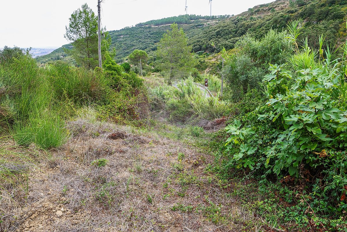 Moradia T1 à venda em Santiago dos Velhos, Arruda dos Vinhos — foto 12