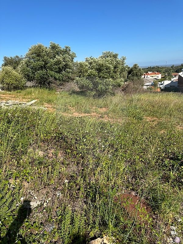 Terreno - Vialonga, Vila Franca de Xira, Lisboa