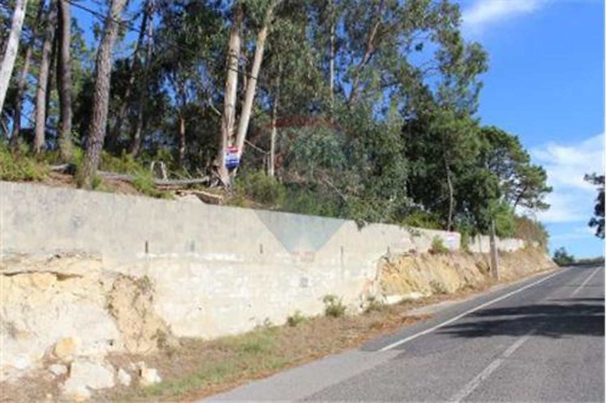 Terreno  à venda em Santo Isidoro
