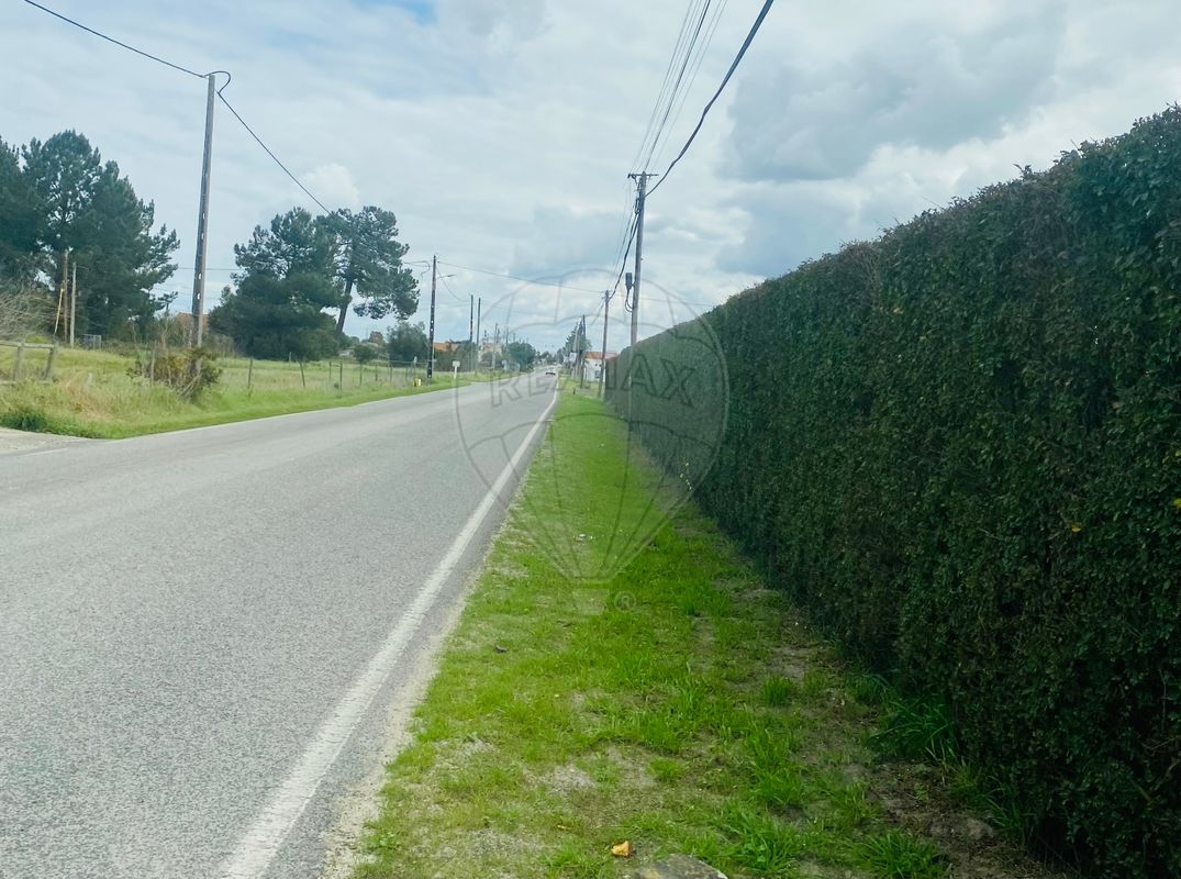 listing-picture-0