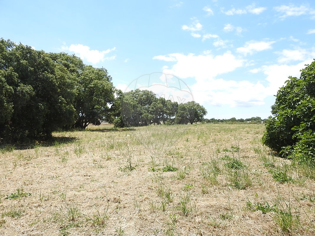Land for sale in Alcochete, Portugal — €806,740