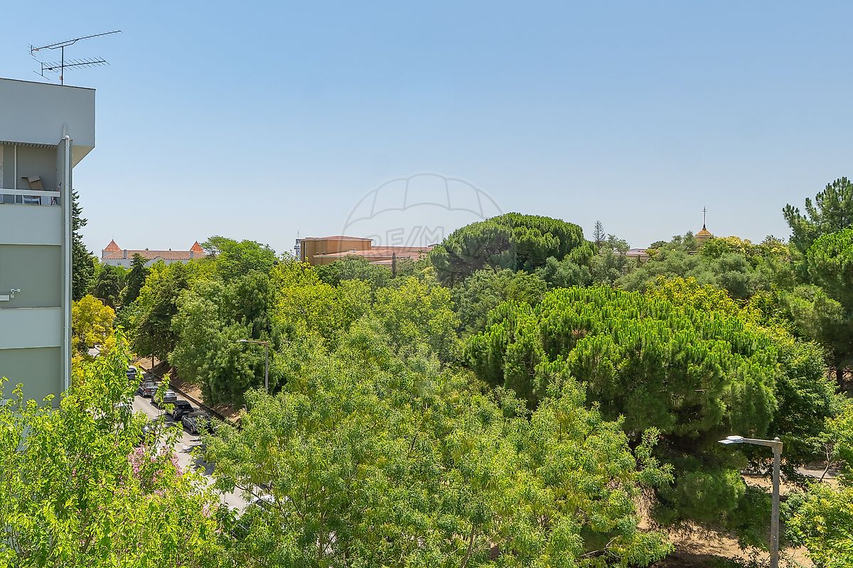 Apartamento T3 à venda em Moscavide e Portela, Loures — foto 20