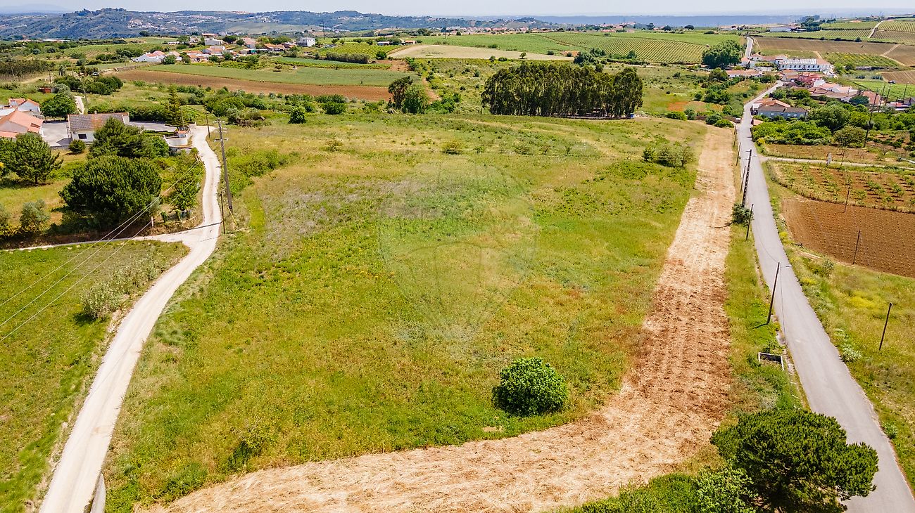 Terreno - Ribafria e Pereiro de Palhacana, Alenquer, Lisboa