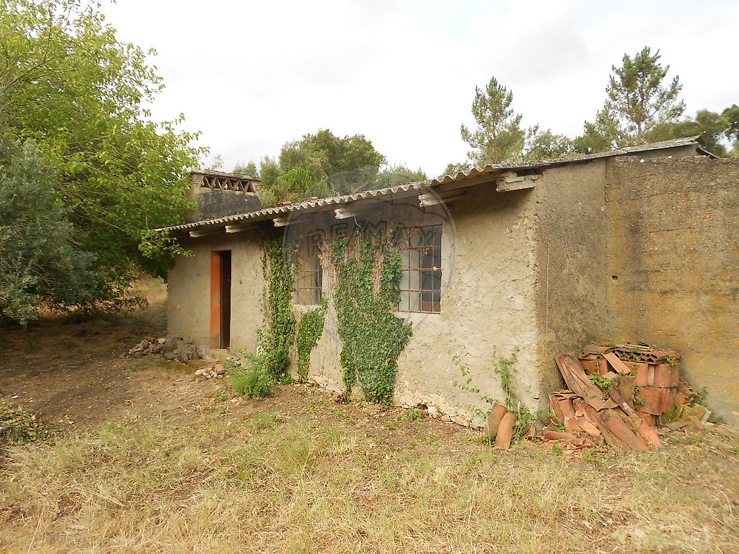 Terreno - Tramagal, Abrantes, Santarém