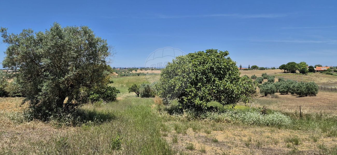 listing 123291176-22 picture-0