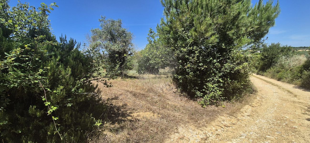 listing 123291176-22 picture-0