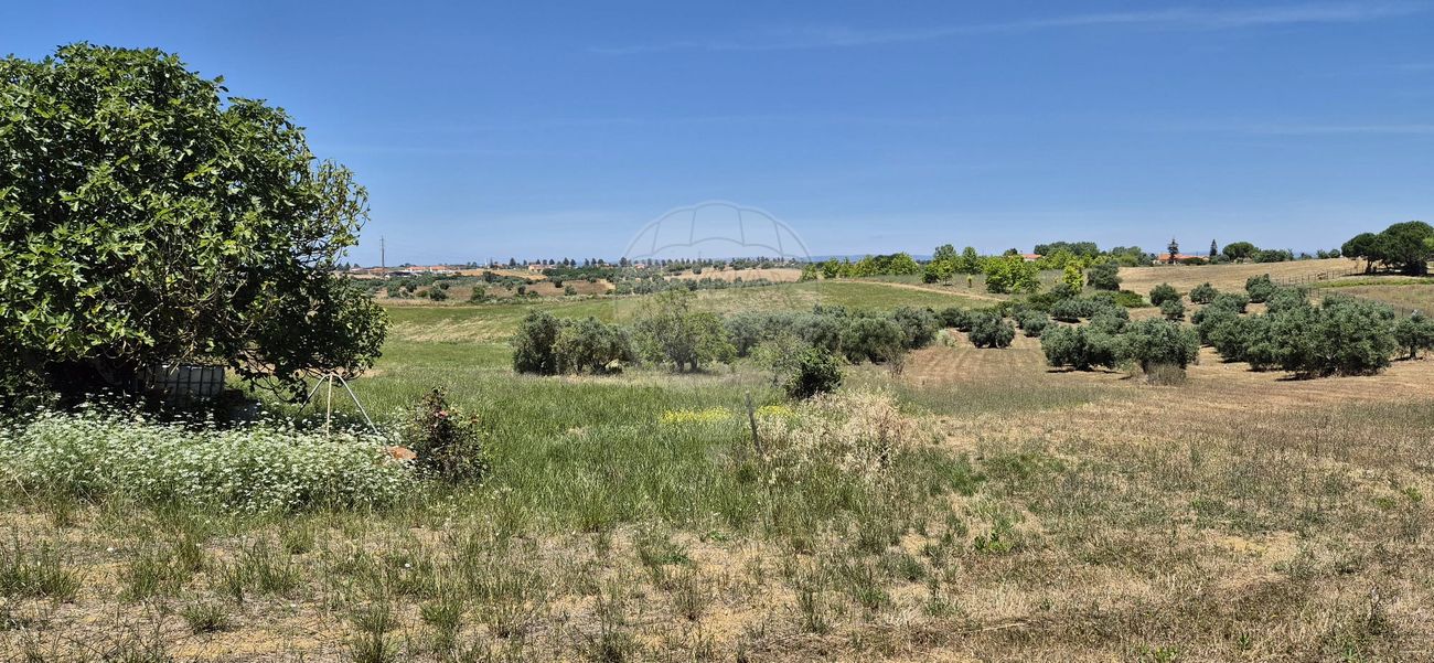listing 123291176-22 picture-0