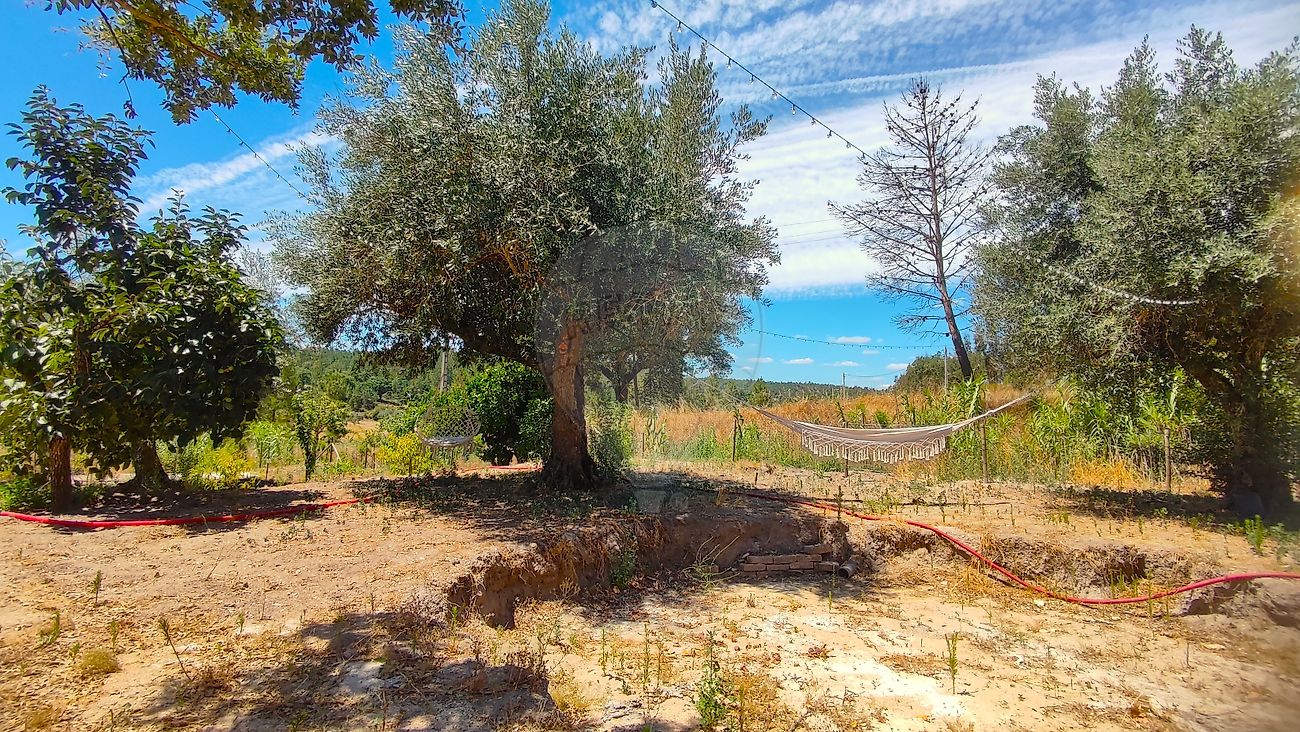 Moradia T6+ à venda em São Facundo e Vale das Mós, Abrantes — foto 15