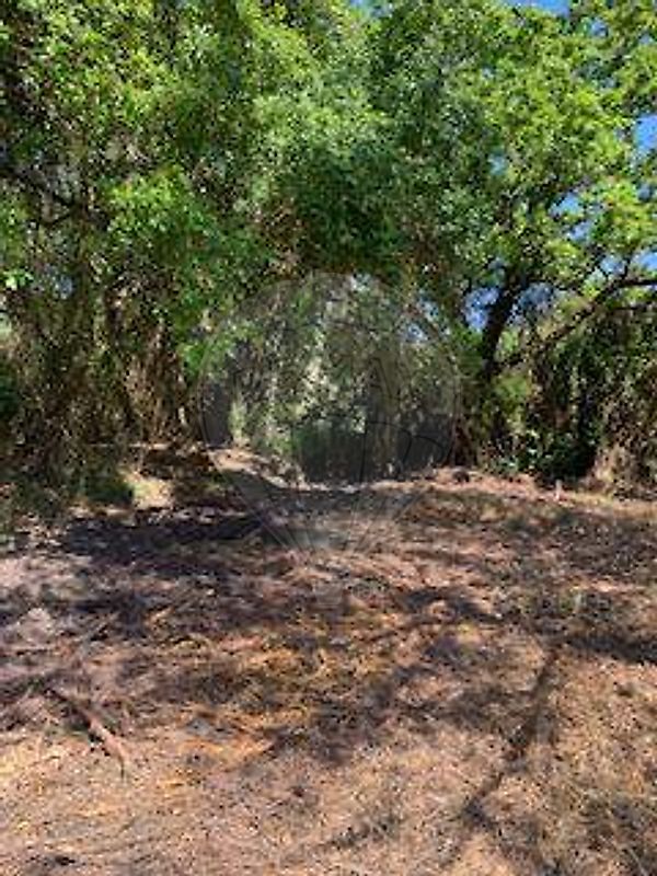 Terreno à venda em Sintra