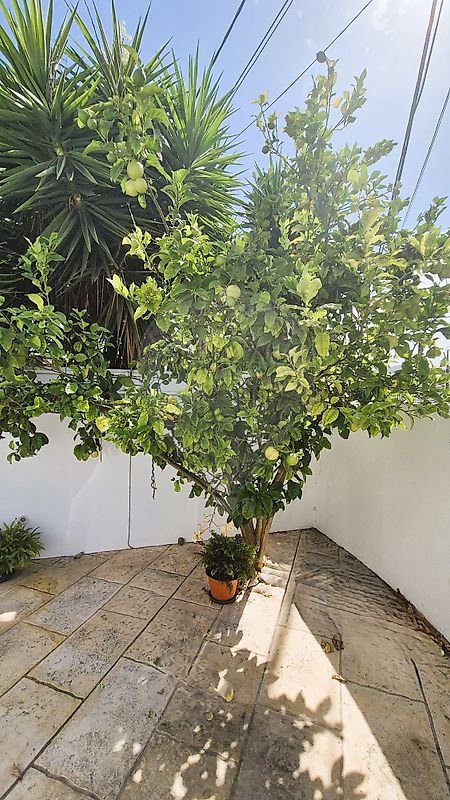 Moradia T4 à venda em Charneca de Caparica e Sobreda, Almada — foto 25