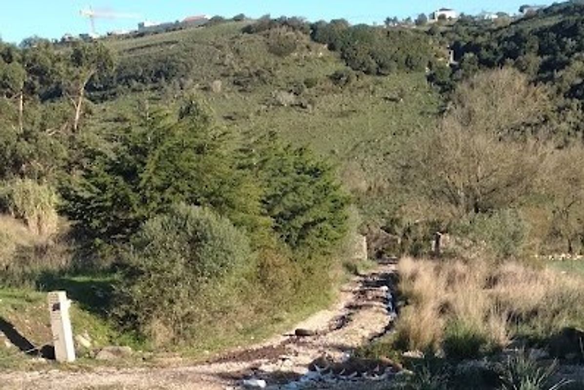 Terreno  à venda em Cabrela