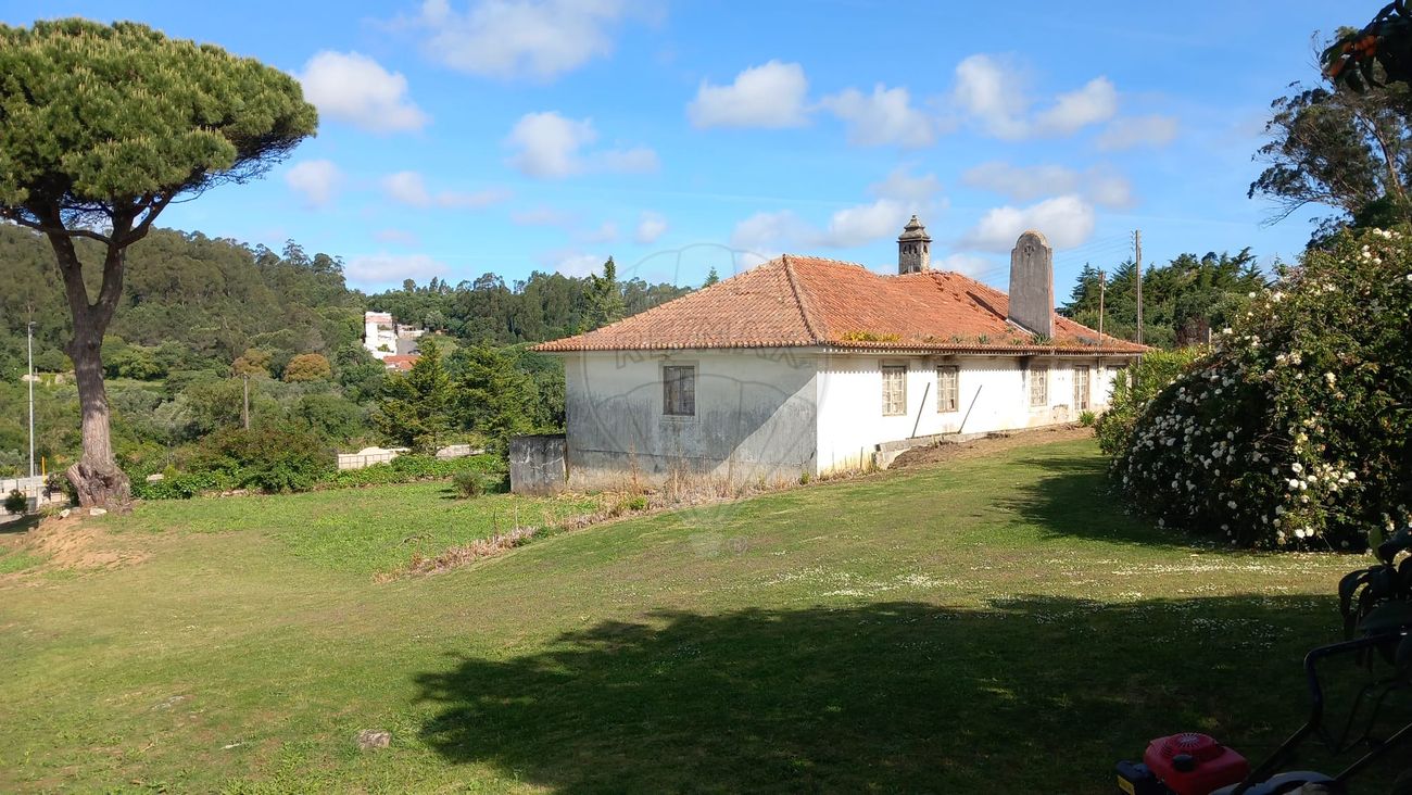 listing-picture-0