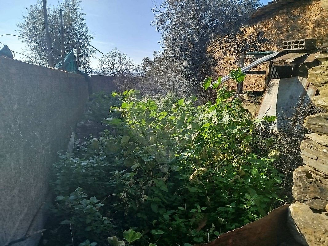 Moradia T5 à venda em Malpica do Tejo, Castelo Branco — foto 13