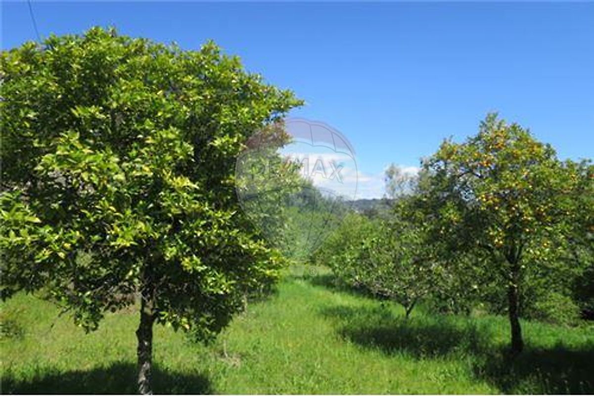 Moradia T4 à venda em Ribas, Celorico de Basto — foto 23
