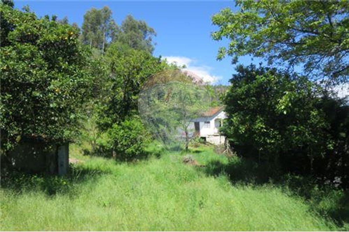 Moradia T4 à venda em Ribas, Celorico de Basto — foto 22