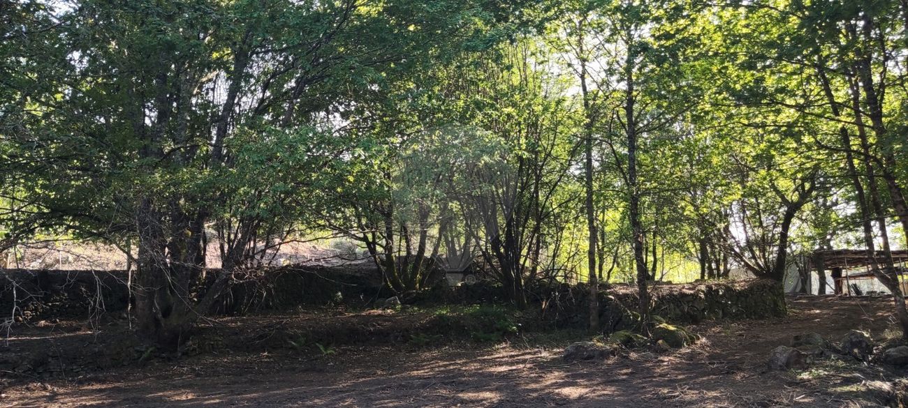 listing 126971005-1 picture-0