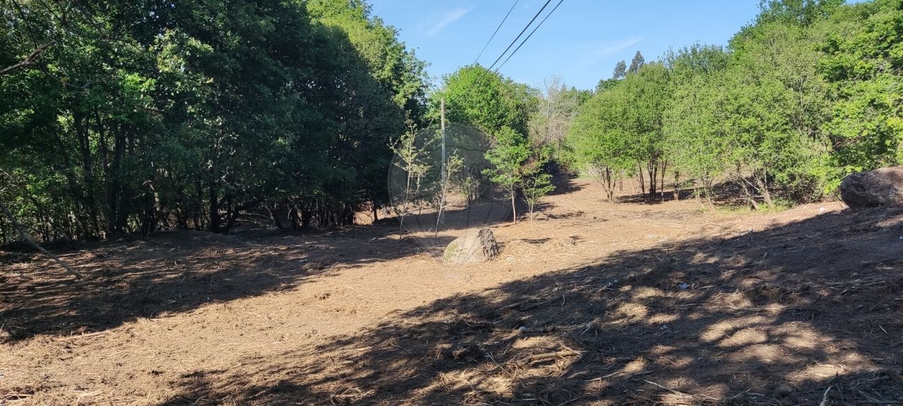listing 126971005-1 picture-0
