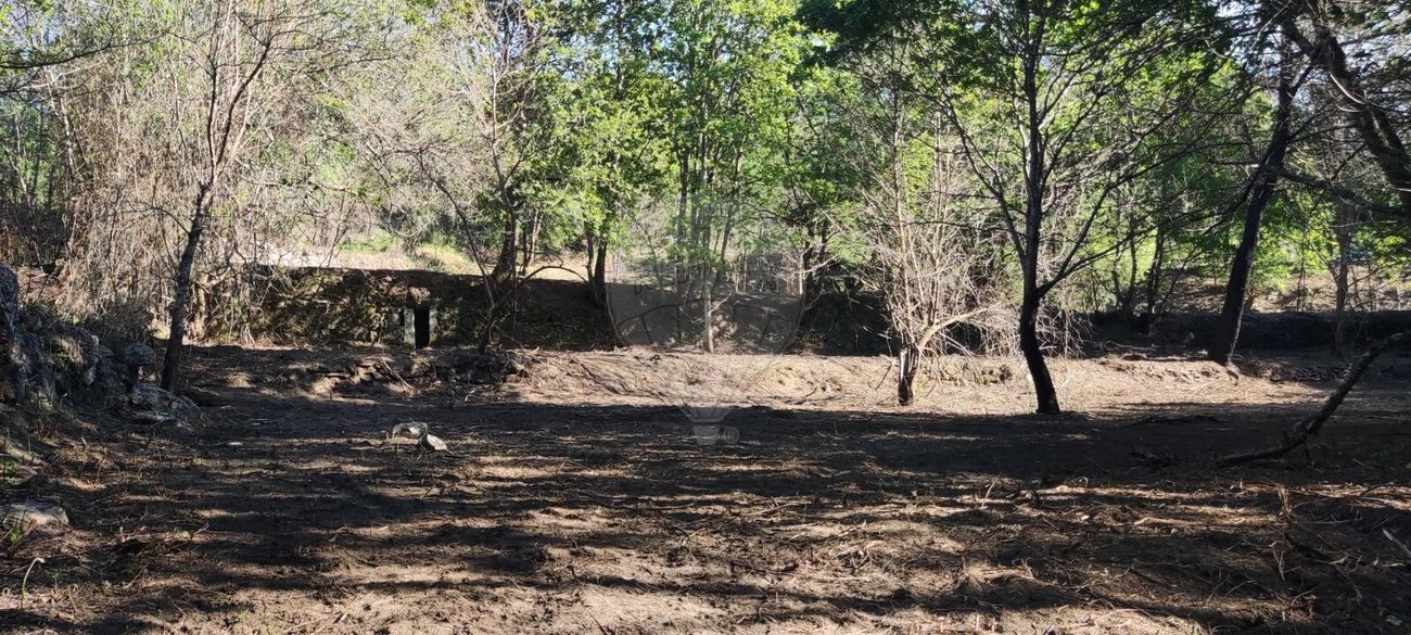 listing 126971005-1 picture-0