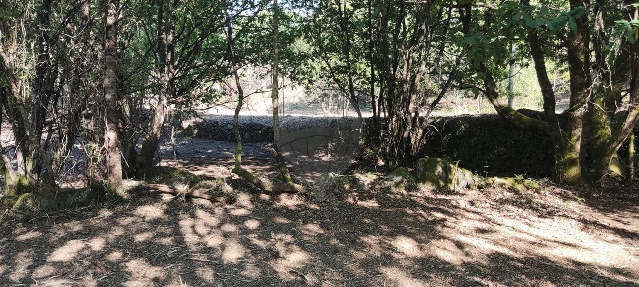 listing 126971005-1 picture-0