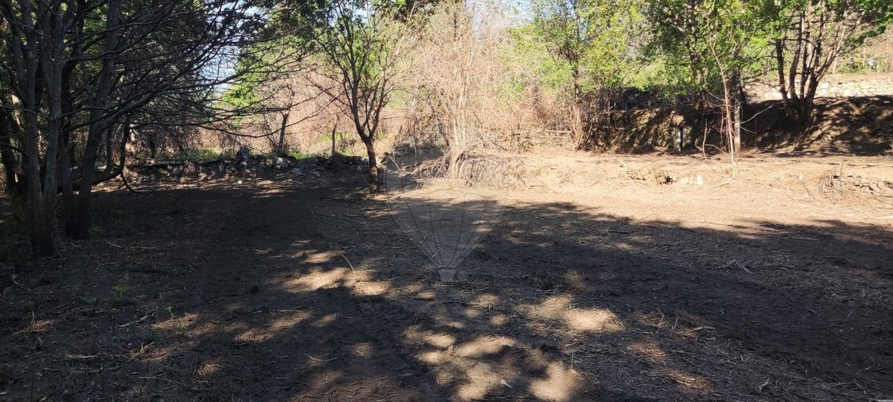 listing 126971005-1 picture-0